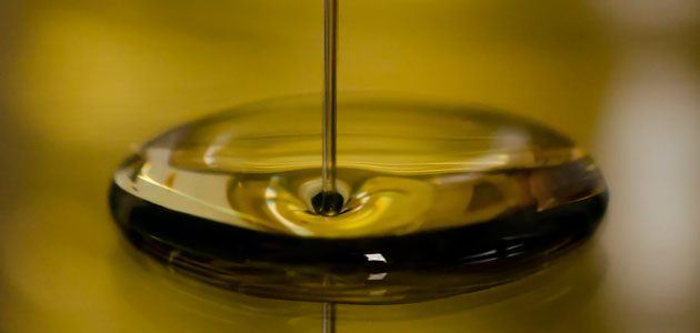 El Gobierno y las CCAA aprueban una guía para luchar contra el fraude en el aceite de oliva