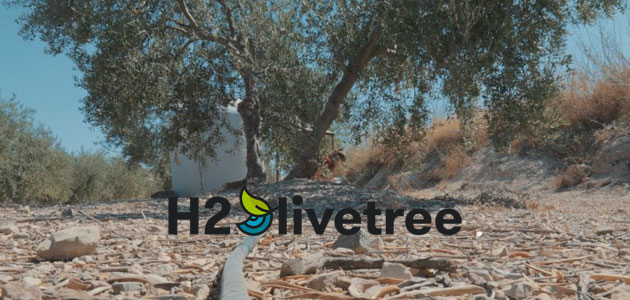 H2Olivetree: cuando un residuo puede convertirse en un recurso