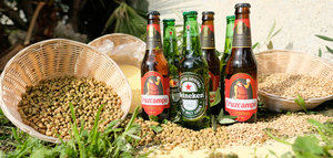Biomasa del olivar jiennense para la elaboración de cerveza