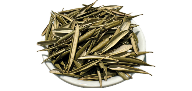 La hoja de olivo: un tesoro por descubrir