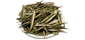 La hoja de olivo: un tesoro por descubrir