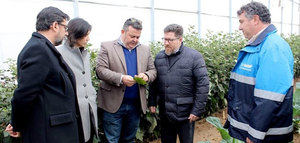 La Junta de Andalucía y BASF impulsan la protección de cultivos e investigación del hongo del olivar