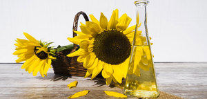 En busca de alternativas al aceite de girasol