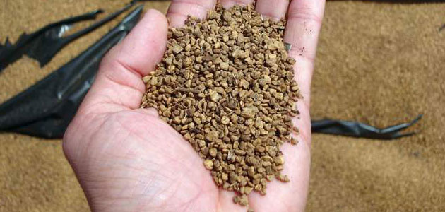 Hueso de aceituna para mejorar el aislamiento térmico en la fabricación de ladrillos