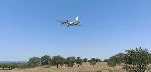 Desarrollan un nuevo modelo 3D que facilita la monitorización y gestión de ecosistemas heterogéneos y agroforestales