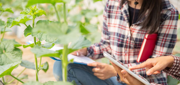 El IAS-CSIC destina un millón de euros a mejorar la resiliencia y la sostenibilidad de la agricultura mediterránea