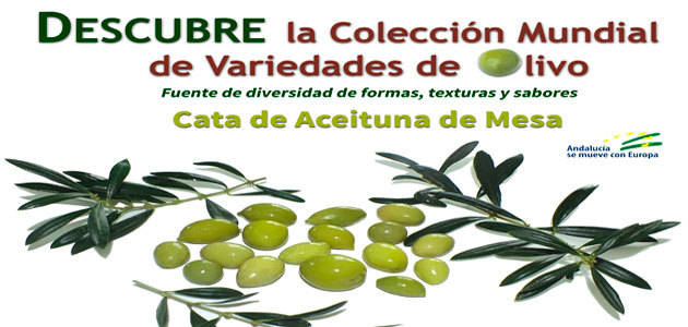 Un homenaje a la aceituna de mesa de variedades de la Colección Mundial de Variedades del Olivo