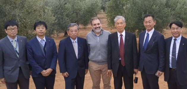 Representantes del Gobierno de Japón conocen la investigación sobre olivar del Ifapa