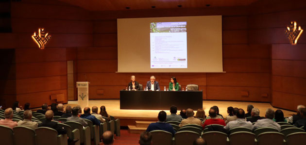 La situación actual de la olivicultura, a debate en una jornada técnica del IFAPA