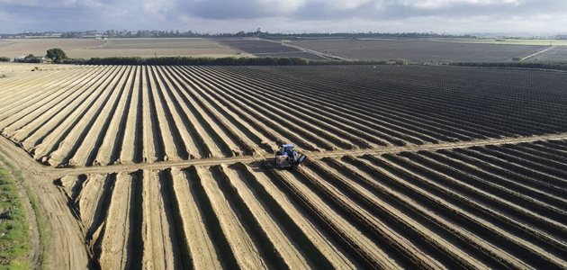 IFC Agrícola refuerza su compromiso con el sector participando en la creación de la almazara Molino de las Vegas Altas