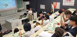 Las IGPs Aceituna Manzanilla y Gordal de Sevilla inician una campaña de formación en escuelas de hostelería