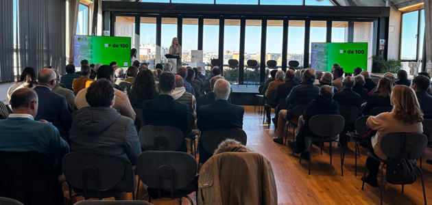 Las IGPs Aceitunas Manzanilla y Gordal de Sevilla respaldan el modelo tradicional del olivar de mesa sevillano