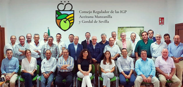 El Consejo Regulador de las IGPs Manzanilla y Gordal constituye definitivamente su pleno