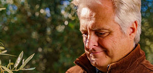 Coaches y rentabilidad de proyectos oleícolas