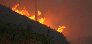 Agroseguro recuerda que los daños provocados por los incendios en el campo están cubiertos