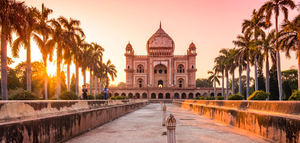 Panorámica del mercado de la aceituna en la India