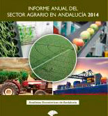 El valor de la producción de aceite de oliva en Andalucía subió un 174,4% en 2014