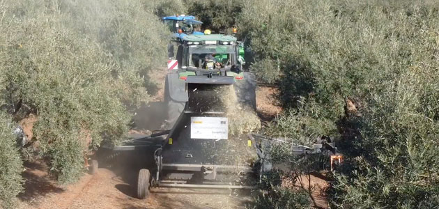 Innolivar: productos de vanguardia para un olivar tecnificado y sostenible