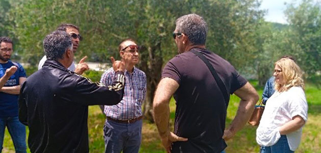 El Instituto Universitario de Investigación en Olivar de la UJA participa en una red mediterránea para la promoción de la sostenibilidad del sector