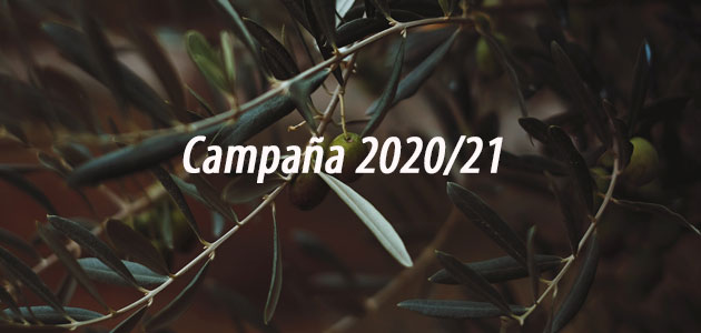 Balance de la campaña 2020/21 en los principales países productores