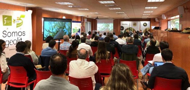 Grupo Interóleo celebra un encuentro centrado en la mejora de procesos, la digitalización documental y la optimización operativa para la nueva campaña 2025/26