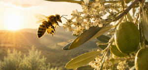 Las abejas, aliadas estratégicas e indispensables para el futuro del sector oleícola
