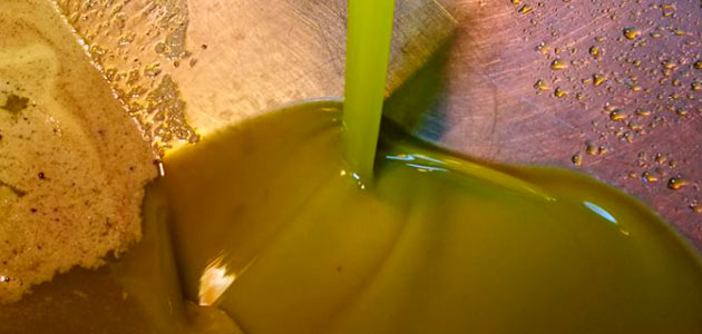 Grupo Interóleo no participará en el nuevo proyecto de central de ventas de aceite de oliva a granel