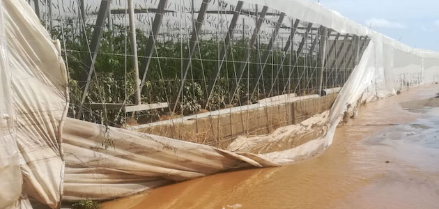 El Gobierno aprueba medidas urgentes para paliar los daños causados por los temporales