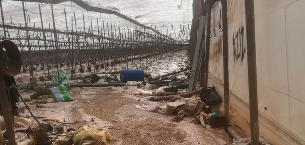 Agroseguro constata que las lluvias e inundaciones han causado graves daños en producciones agrícolas del sureste del país