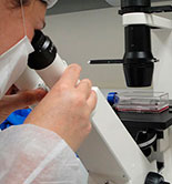 Un componente del AOVE mata células cancerígenas