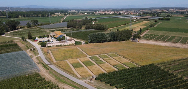 Un proyecto europeo encara los retos de la agricultura regenerativa en el Mediterráneo