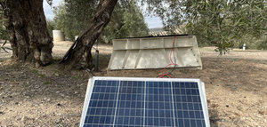 El proyecto ITO-FOG permite optimizar el riego en el cultivo del olivar