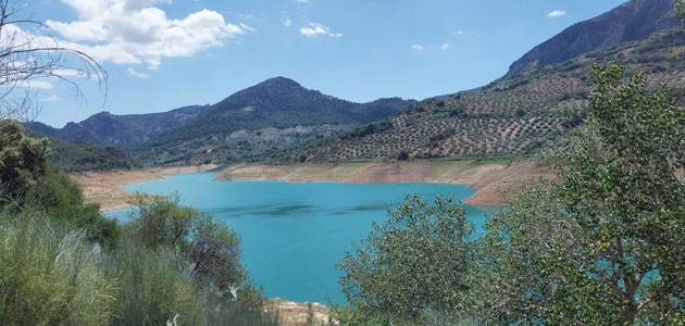 Reclaman a la CHG retomar el desembalse de agua ante el 'momento crítico' del olivar