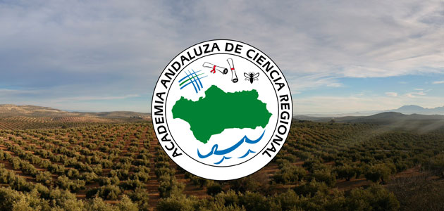 La Academia Andaluza de Ciencia Regional organizará en Jaén el Congreso Internacional del Aceite de Oliva