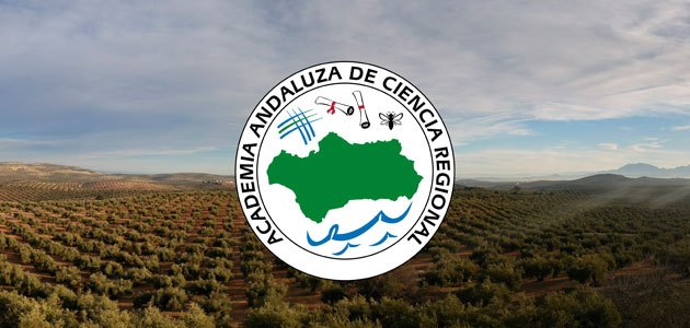 La Academia Andaluza de Ciencia Regional organizará en Jaén el Congreso Internacional del Aceite de Oliva