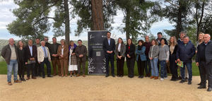 Estos son los ocho AOVEs que lucirán el sello "Jaén Selección 2026"