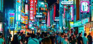 Perspectivas esenciales para el sector del aceite de oliva en Japón