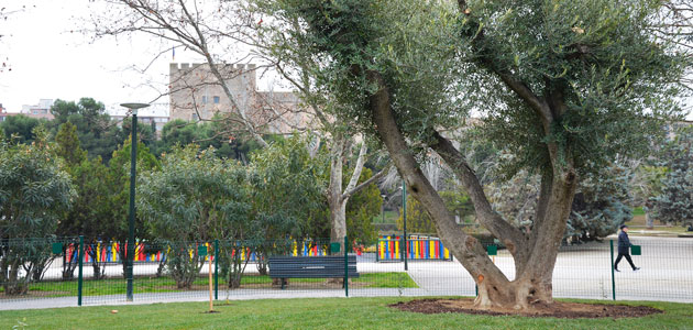 Nace el Jardín de la Paz de Zaragoza con 22 olivos de diversos rincones del mundo