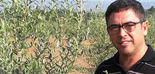 Formación especializada en olivicultura desde el IFAPA
