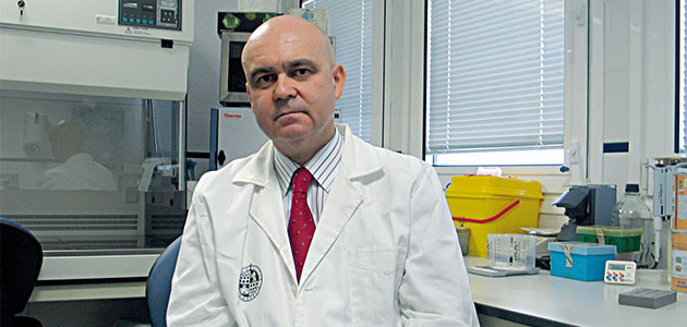 AOVE de alto valor: la salud como eje estratégico de la rentabilidad oleícola