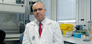 AOVE de alto valor: la salud como eje estratégico de la rentabilidad oleícola