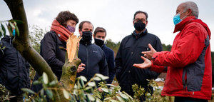 Cataluña cifra en más de 46.000 hectáreas la superficie de olivar dañada por el temporal