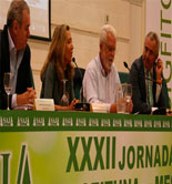 Asaja-Sevilla prevé que la cosecha de aceituna de mesa sea la más baja de los últimos nueve años