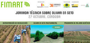 Córdoba acogerá el 27 de octubre una jornada sobre olivar en seto