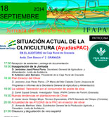 El Ifapa organiza una jornada sobre la situación actual de la olivicultura