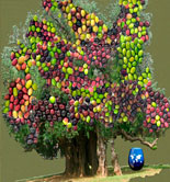 El Ifapa muestra la colección mundial de variedades del olivo