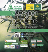 Asaja Córdoba celebra su X Jornada Técnica de Olivar