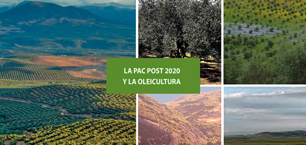 La PAC post 2020 y la oleicultura