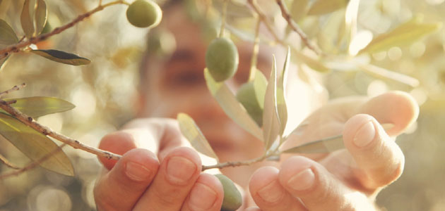 QvExtra! y el COI convocan al sector a una jornada sobre etiquetado nutricional y saludable del AOVE