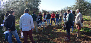 El olivar ecológico y la lucha contra el cambio climático, a debate en unas jornadas en Extremadura